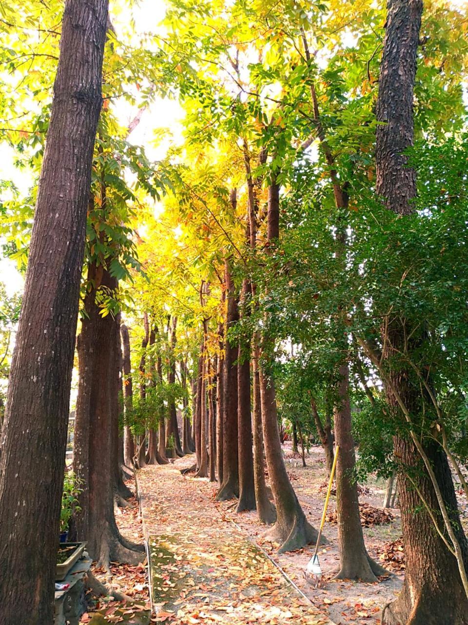 Mei-nung Meinong Yun Shanju Homestay מראה חיצוני תמונה