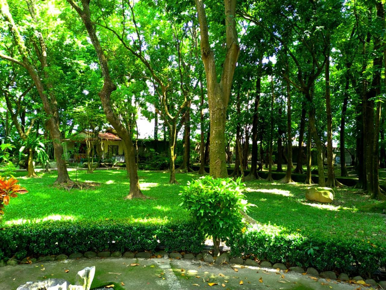 Mei-nung Meinong Yun Shanju Homestay מראה חיצוני תמונה